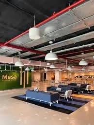 Mesa School of Business - [MSB]