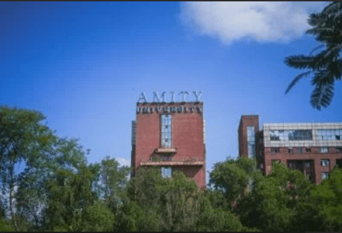 Amity University