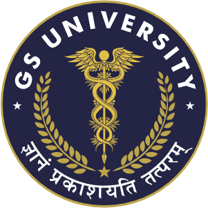 GS UNIVERSITY